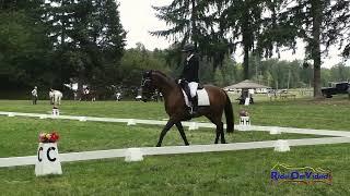 299D Olive Sherwood on Falconess Open Beginner Novice Dressage Aspen Farms Sept. 2024