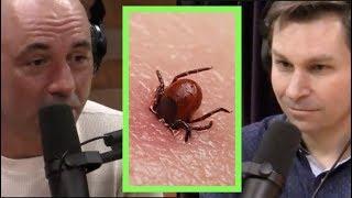 Joe Rogan - Lyme Disease is Terrifying!!