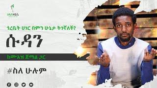 #ስለሁሉም ጎረቤት ሀገር #ሱዳን ምን እየተከናወነ ነው? #ethiopia #silehulum #sudan #addiszeybe