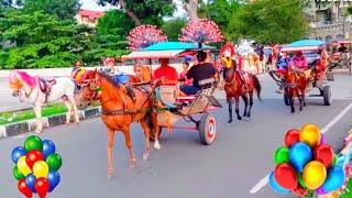 Kuda | Kuda Delman Berbondong Bondong Pindah Lokasi Mahrib, 2 kuda tunggang di tarik pakai motor