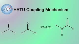 HATU, DIPEA Peptide Coupling Mechanism | Organic Chemistry