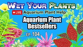 Answering your planted tank questions and pondering aquarium plant bestsellers (Wet Your Plants 104)