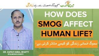 How Does Smog Affect Human Life - Potential Health Effects and Prevention of Smog.