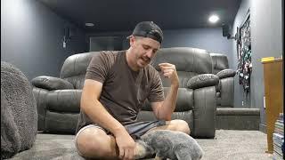 Smokey Training Series: blue heeler puppy training Ep 1, sit, down, roll over, touch, etc