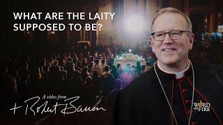 What Are the Laity Supposed to Be?