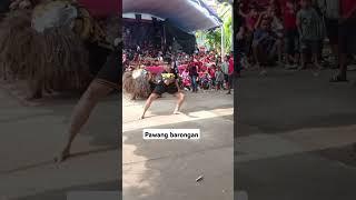 Pawang barongan #shorts #shortvideo #barongan