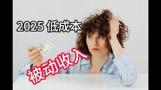 2025 年低成本被动收入想法 | 按预算创业的简单方法