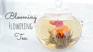 Blooming Tea |Timelapse | Mother's Day Gift Idea + Mini Giveaway
