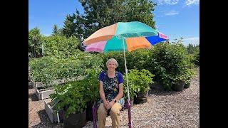 Gardening Sun Protection: Susan's in the Garden (2024) #13