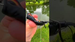 I Fished with a FROG  @raybanmetaofficial  #raybanmetapartner #ad