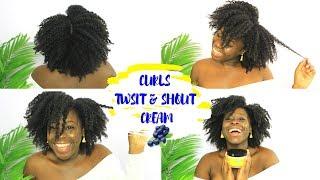 CURLS BLUEBERRY BLISS TWIST & SHOUT CREAM BRAID OUT ON 4C/4B NATURAL HAIR