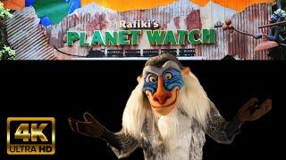 Rafiki's Planet Watch | 4K POV Attraction | Disney’s Animal Kingdom Park