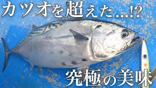 【超絶美味】今最もお持ち帰りしたい美味い魚がこちら【外房ジギング】