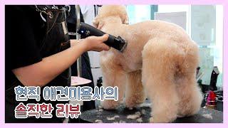 [미용용품리뷰] 현직 애견미용사 규리쌤의 솔~~~직한 리뷰! pet grooming, self grooming, dog, cat, clipper, review