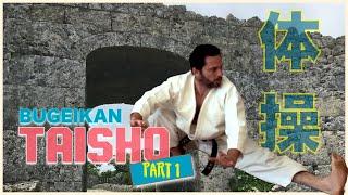 Bugeikan Taisho Part 1: calisthenics for martial arts