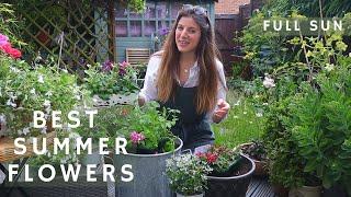 3 container planting recipes for Summer️ | Best plants mix for months of flowers | FULL SUN