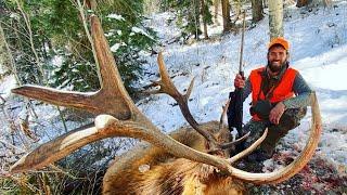 FREAK BULL ELK!!! 2 Colorado Bulls down! | S8E4 | Limitless Outdoors