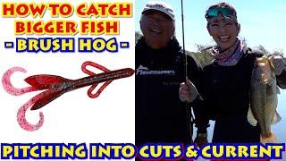 PITCH & FLIP BRUSH HOG to Catch Big Bass (Step by Step Teaching)