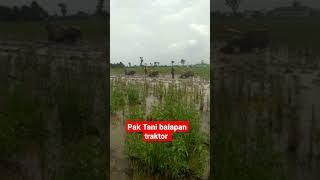 Pak Tani balapan traktor