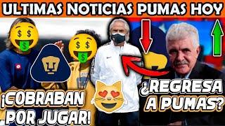  ULTIMA HORA TUCA REGRESA A PUMAS? AQUI LOS DETALLES! LO REGRESA MEJIA BARON! ESCANDALO EN PUMAS!