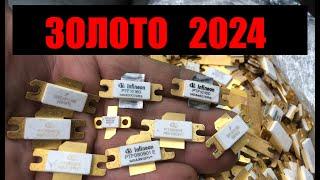 Много Золота 2024 : A lot of gold 2024