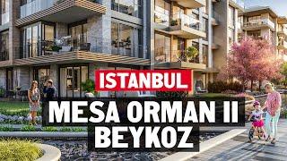 Living in Istanbul. Touring Mesa Orman II in Beykoz