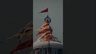 #jagannath#jagannathpuri #jagannathtemple#shorts #youtubeshorts @Moo_jagannath-c9h #jagannathlover