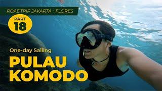 Roadtrip Flores | One Day Sailing Pulau Komodo | #meettheabbey
