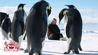 When Antarctica was Green | Jane Francis