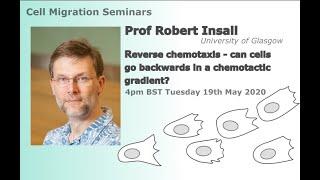 Cell Migration Seminar #2: Robert Insall