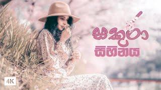 සකුරාව හැඩකරන සකුරා || DREAM OF CHERRY BLOSSOM || Hithumathe JAPAN | 4K