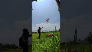 Nerbangin Layangan Cotek 5 Ekor GRATIS BUAT KAMU🪁