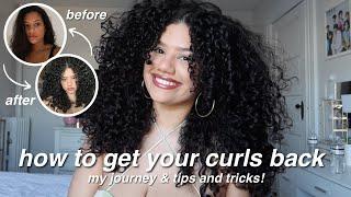HOW TO GET YOUR CURLS BACK | the ULTIMATE guide to healthy curls