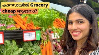 BIWEEKLY GROCERY SHOPPING IN CANADA | ഒരു പലചരക്ക് vlog | Walmart | MONTHLY EXPENSE