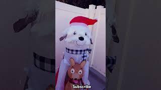 Sled Dogs Christmas Inflatable #sledding #sleddogs #christmasinflatables #christmas #inflatable