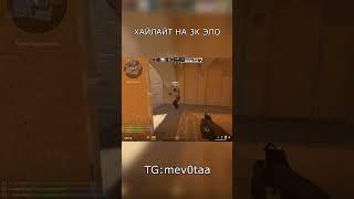 #shorts TG :mev0taa #cs2  #funny  #memes #memes #twitch #streamer  #kishkisquad #89sqd  #freeksqd 1