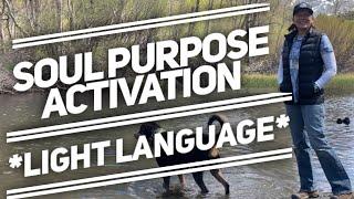 Light Language -Soul Purpose Activation *READ DESCRIPTION PLEASE*