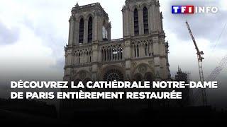 Découvrez la cathédrale Notre-Dame de Paris entièrement restaurée