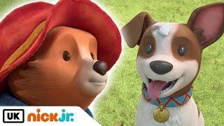 The Adventures of Paddington | Mr. Curry Meets Lucky! | Nick Jr. UK