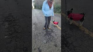 She likes to take her dog   & husband for a walk ‍️ 