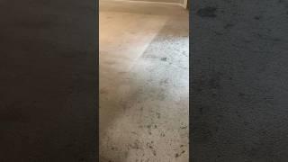 Carpet cleaning in Phenix City, AL #jetstreamclean #jetstreamclean #jetstreamclean