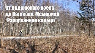 Велопрогулка: От Ладожского озера до Ваганово. Мемориал "Разорванное кольцо"