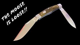 DROPPING THIS FRIDAY!  THIS MOOSE FROM ROSECRAFT BLADES IS A STUD! ️