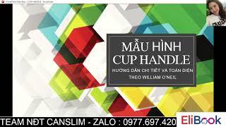 Hướng dẫn toàn diện về mẫu hình Cup and handle (Chiếc Cốc-Tay Cầm)