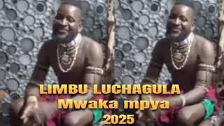 Limbu Luchagula Mwaka Mpya 2025 Promo by Dir5kwa6 0684858523