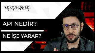 API Nedir Ne İşe Yarar