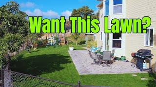 FALL Lawn Fertilization For Beginners