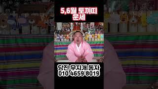 2023년 5,6월 토끼띠 운세 #사주 #운세
