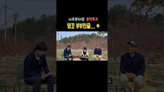 잉꼬부부인줄? ㅎ ㅎ #shorts #수사해당화 #수사해당 #나무부자팜 #미산딸나무 #썰프레아