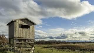 Timelapse Naturpark Steinhuder Meer